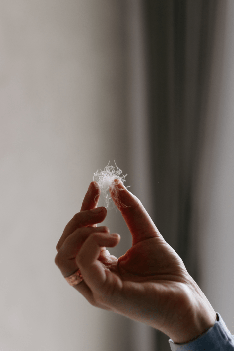 ANEMOON - White goose down pillow